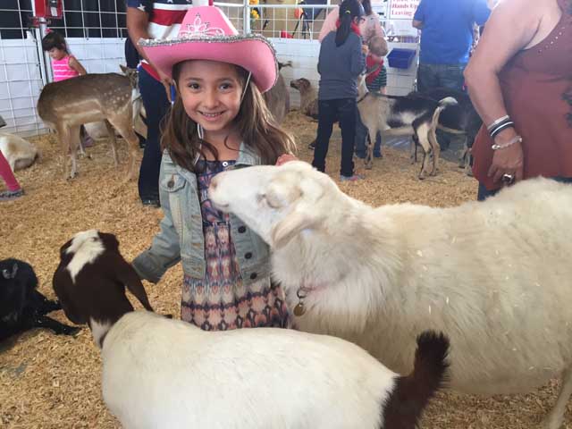 San Antonio Stock Show & Rodeo - FEBRUARY